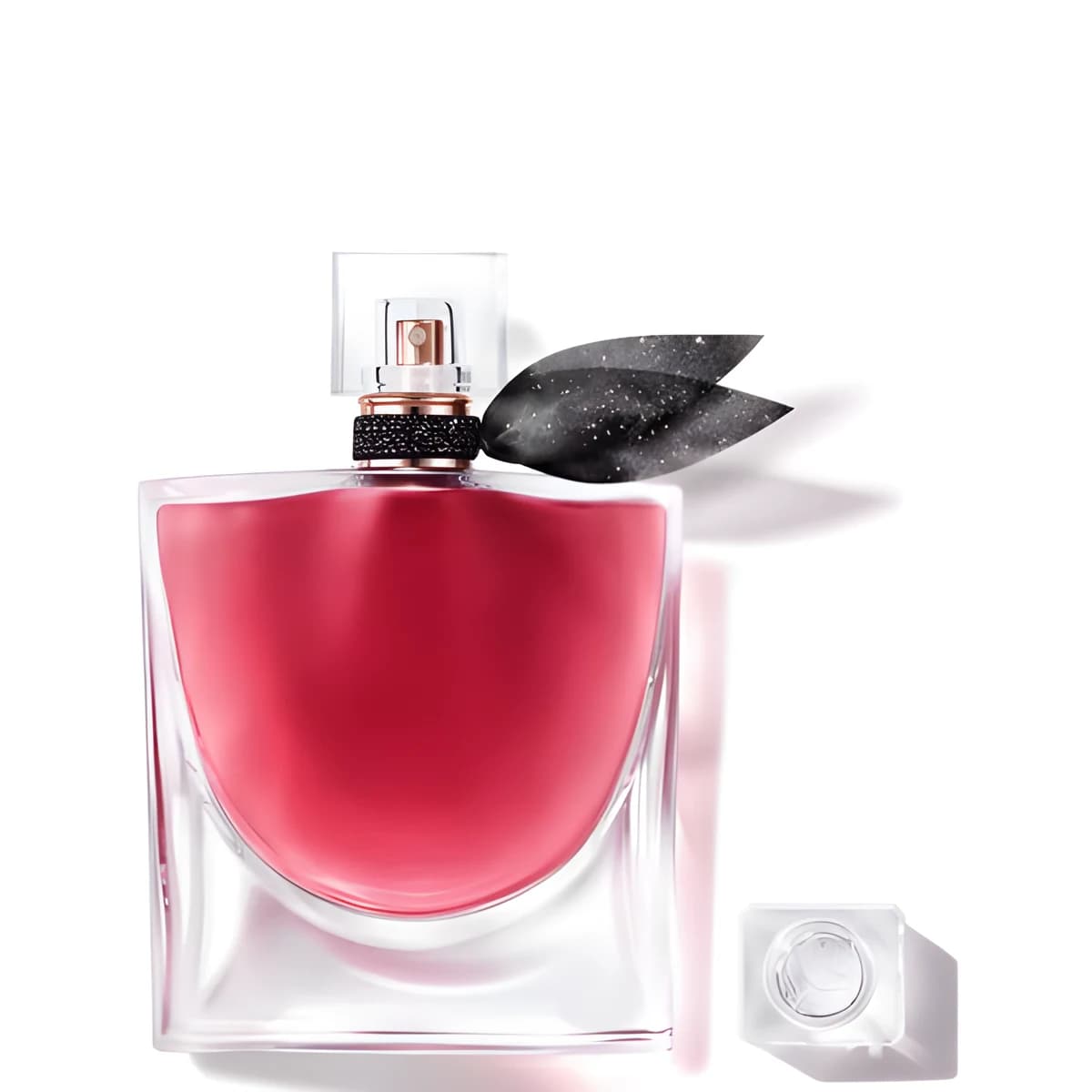 La Vie est Belle l'Elixir
