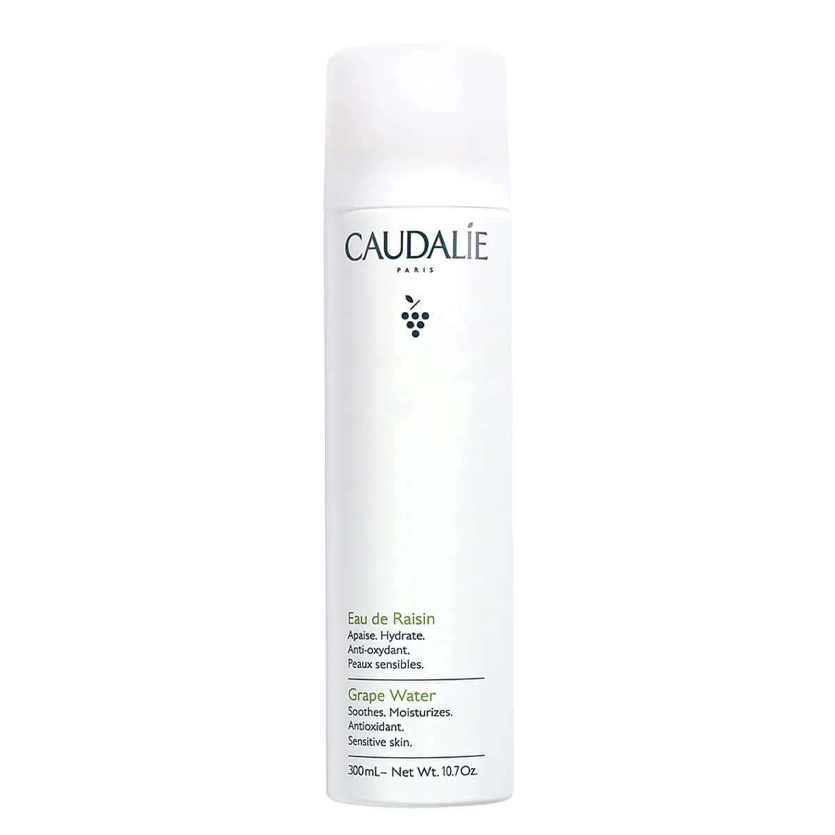Visage Mist