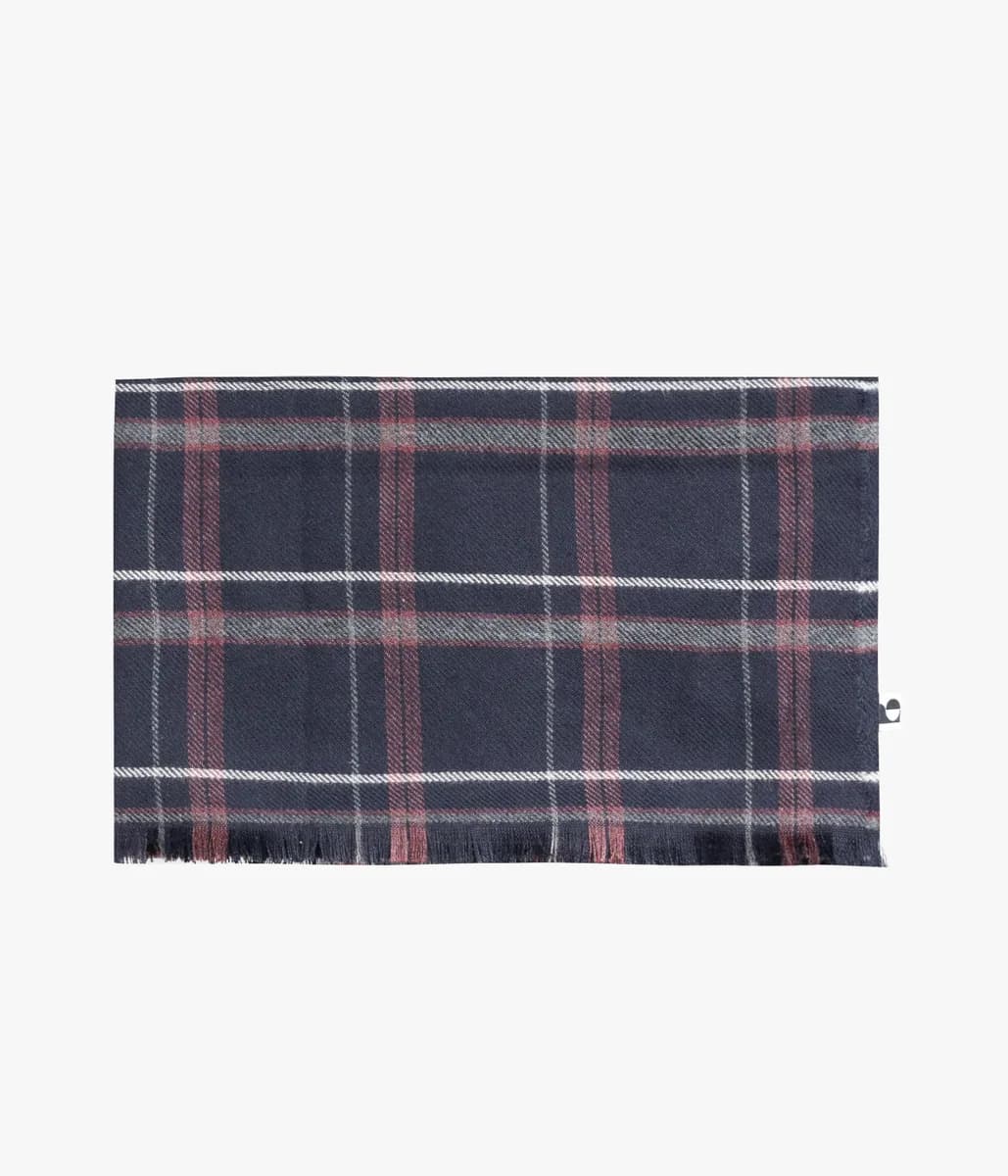 Foulard Ulrich marine