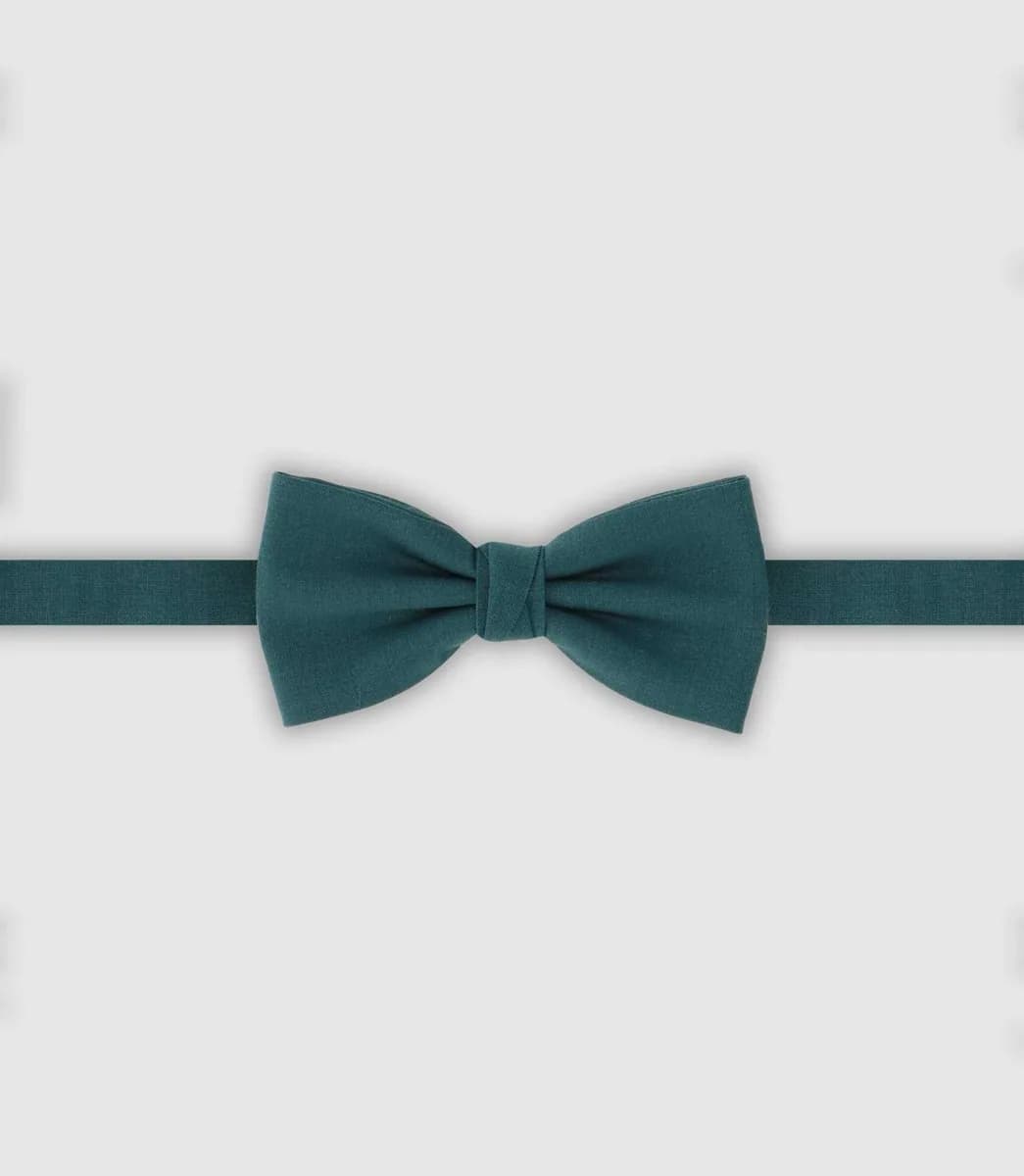 Nœud papillon vert