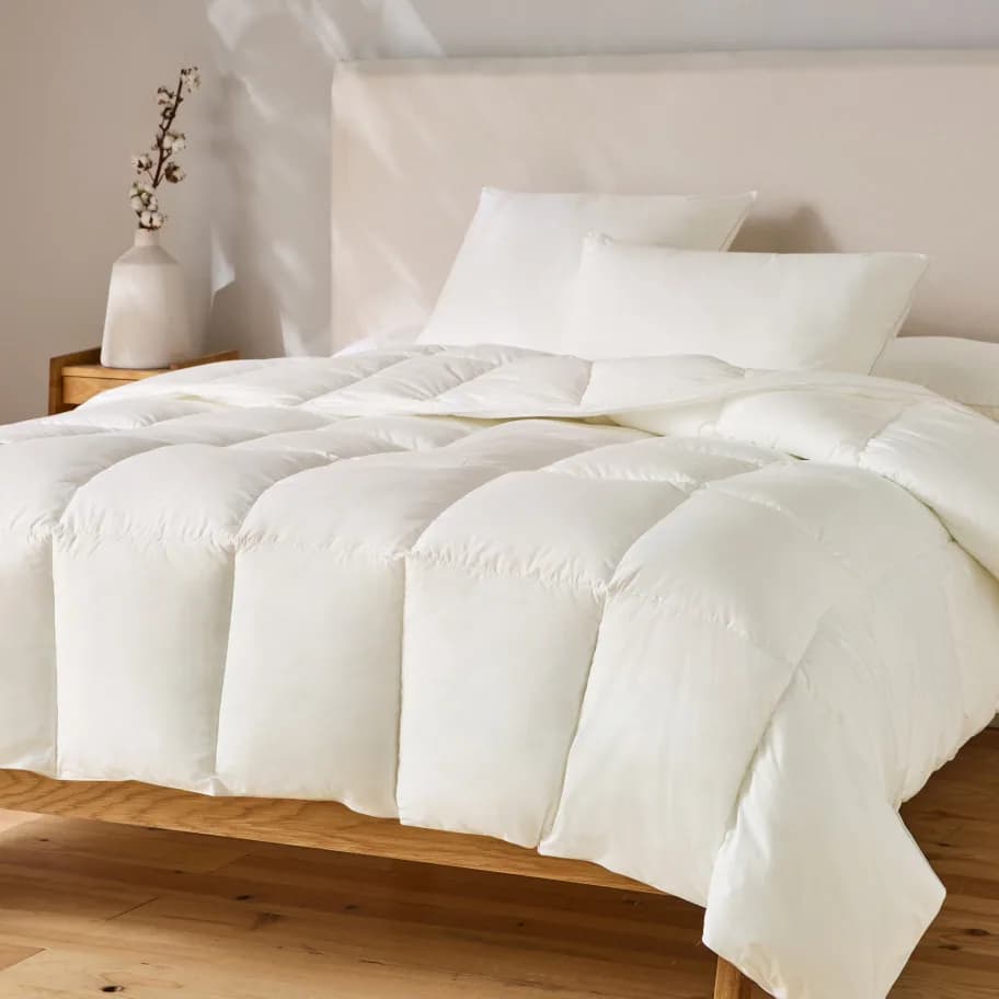 Confort Parfait