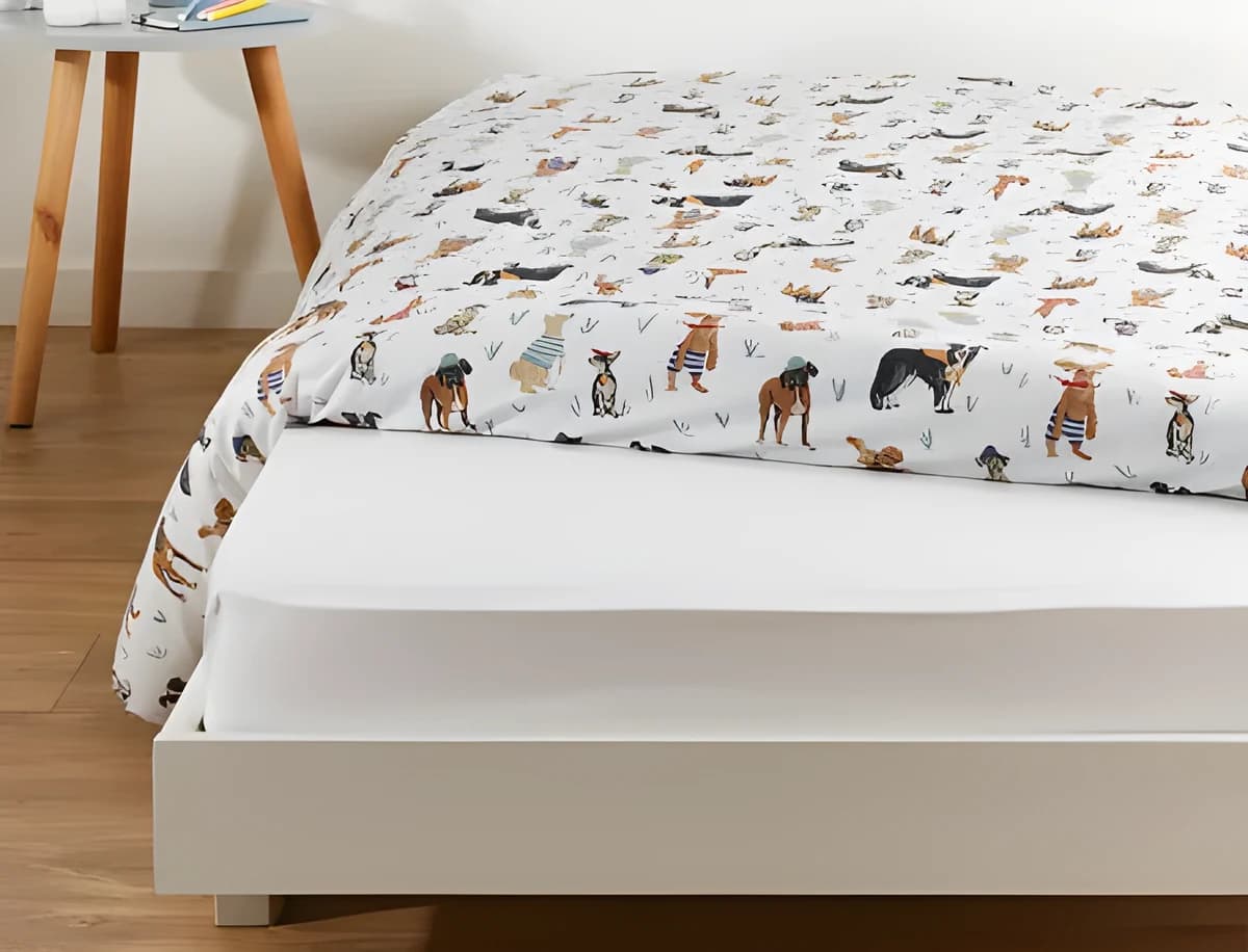Chiens et chat